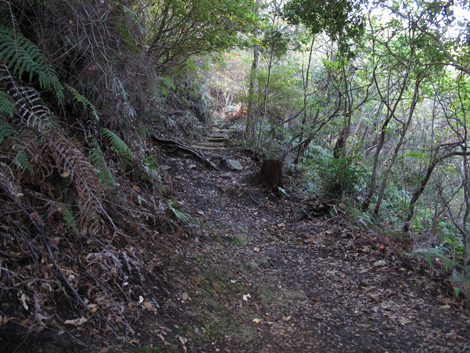 20131116hike (27)